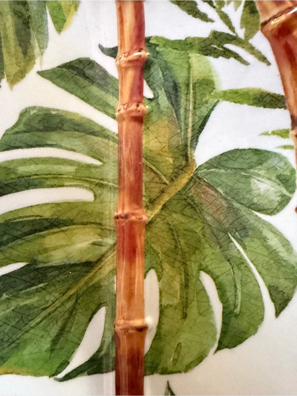 N/A beautiful tropical